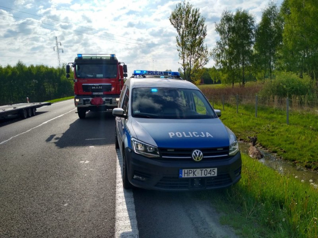 Strażacy wyciągali z rowu w przy krajowej 