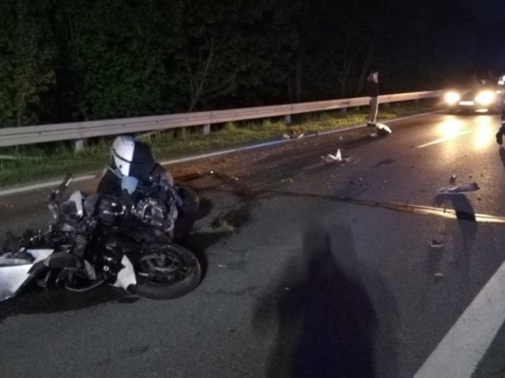 Na Wisłostradzie w Tarnobrzegu motocyklista zderzył się z sarną [zdjęcia]