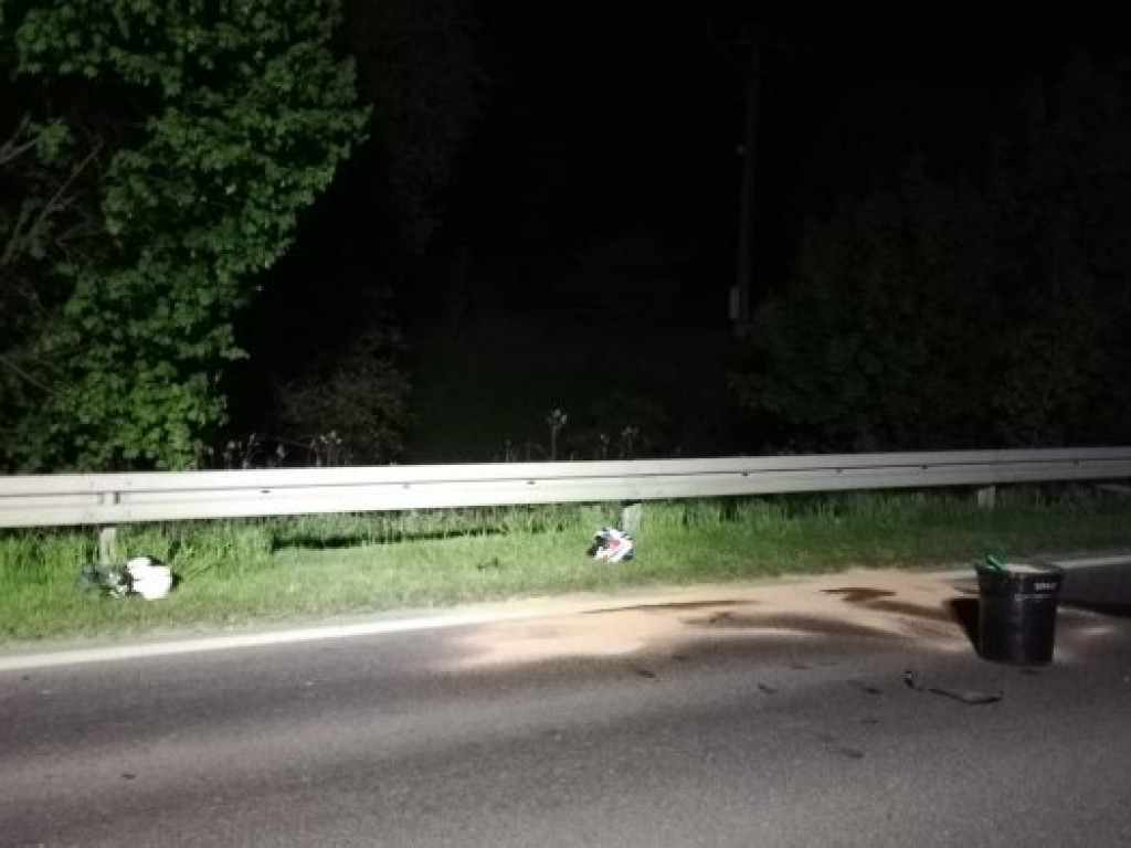 Na Wisłostradzie w Tarnobrzegu motocyklista zderzył się z sarną [zdjęcia]