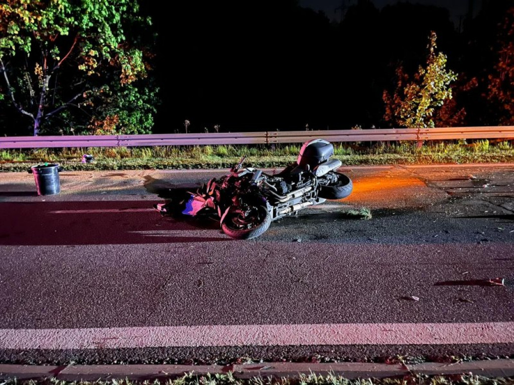 Na Wisłostradzie w Tarnobrzegu motocyklista zderzył się z sarną [zdjęcia]