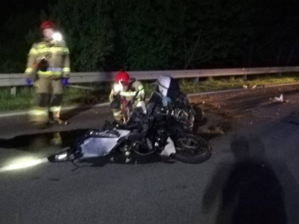 Na Wisłostradzie w Tarnobrzegu motocyklista zderzył się z sarną [zdjęcia]
