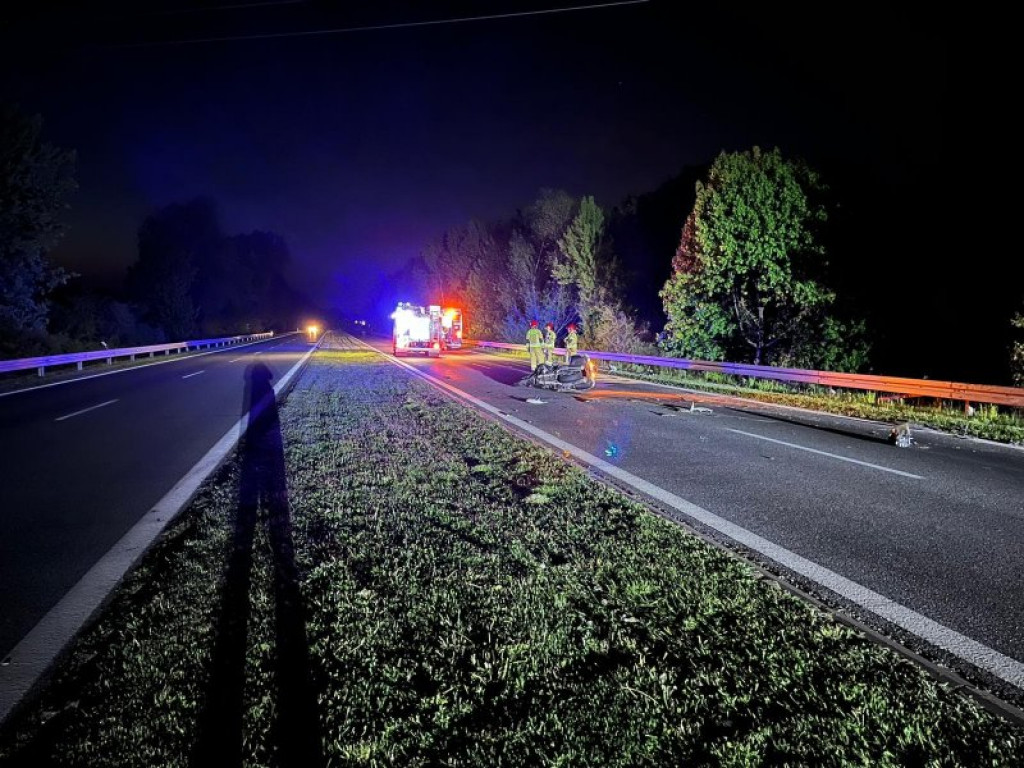 Na Wisłostradzie w Tarnobrzegu motocyklista zderzył się z sarną [zdjęcia]