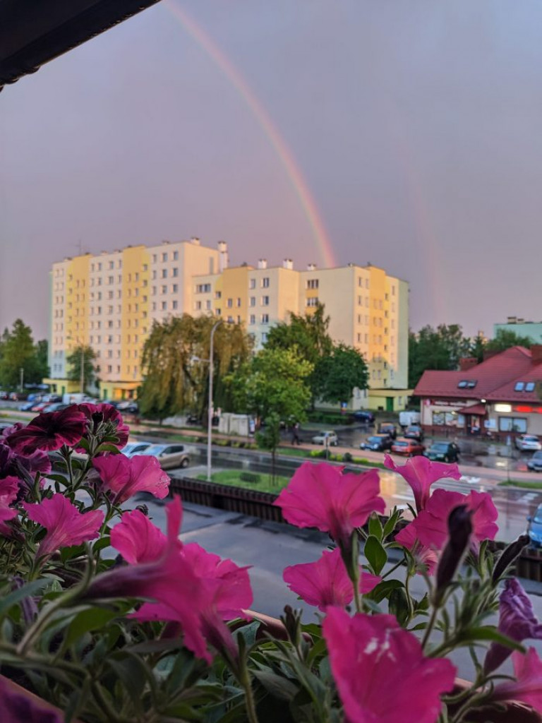 Tęcza nad Tarnobrzegiem. Zdjęcia naszych Czytelników [zdjęcia]