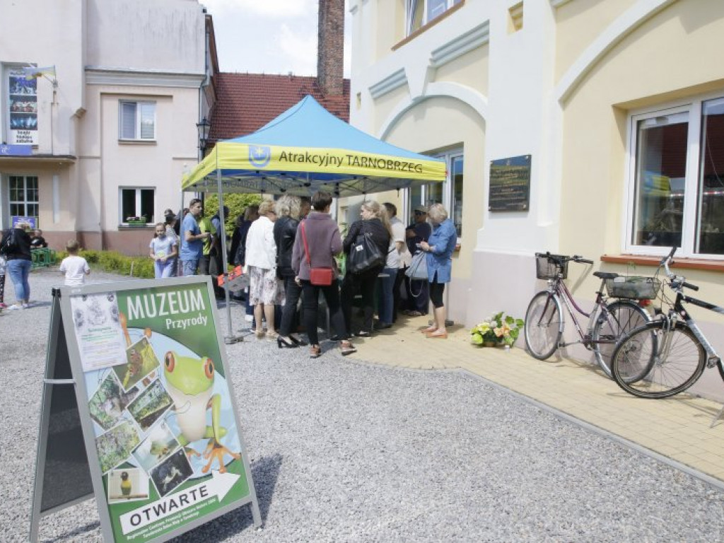 Duże zainteresowanie kwiatowymianą w Tarnobrzegu [zdjęcia]