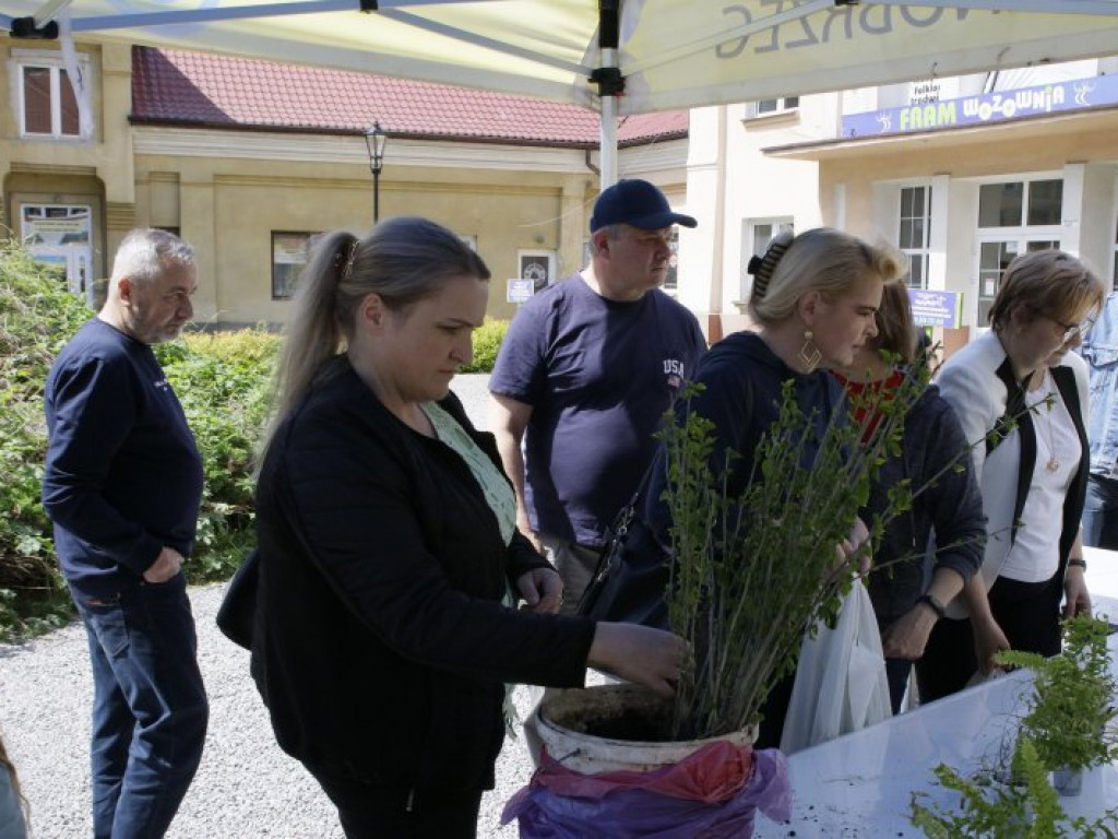 Duże zainteresowanie kwiatowymianą w Tarnobrzegu [zdjęcia]