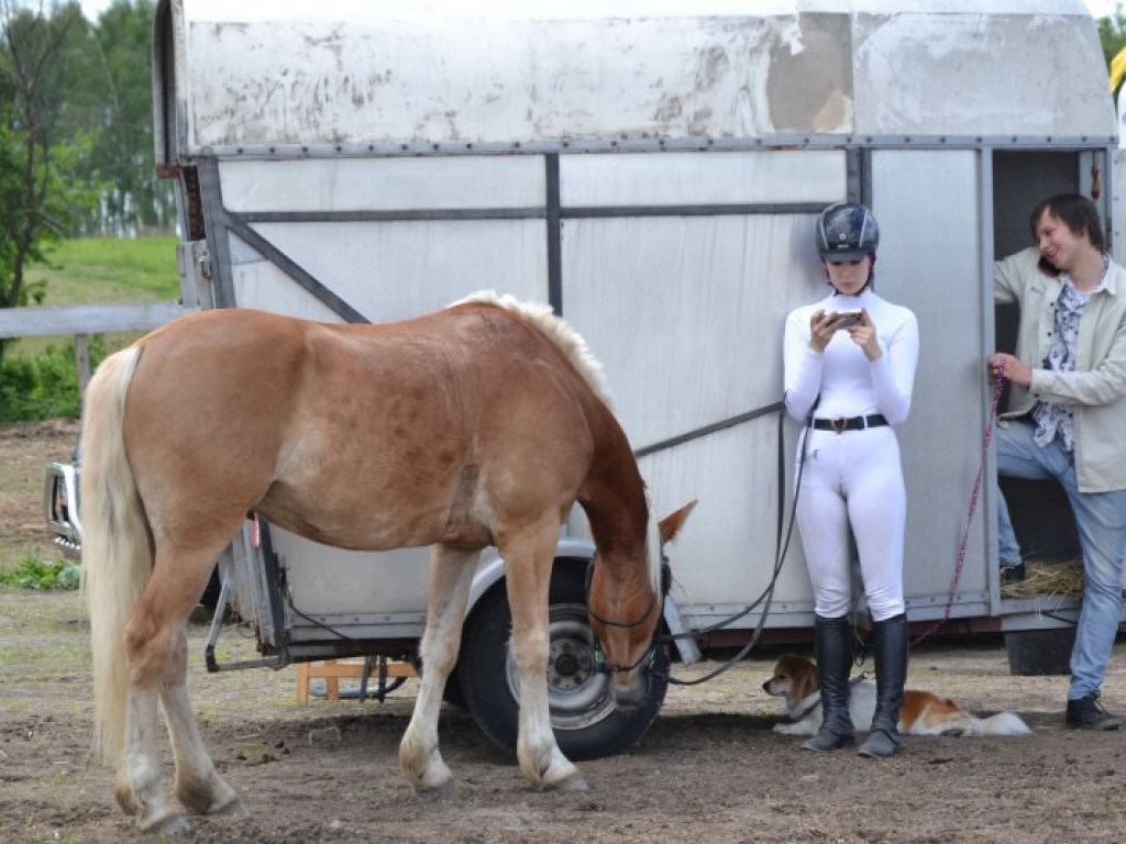 Świetna zabawa podczas konnego pikniku w Wydrzy [zdjęcia]