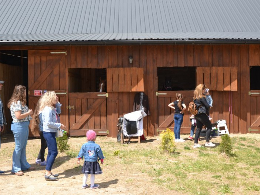 Świetna zabawa podczas konnego pikniku w Wydrzy [zdjęcia]