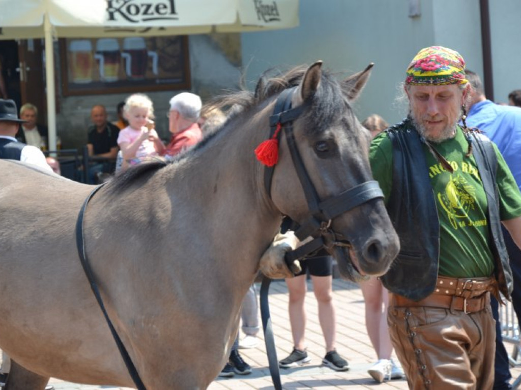 Charytatywny piknik w centrum Tarnobrzega [zdjęcia]