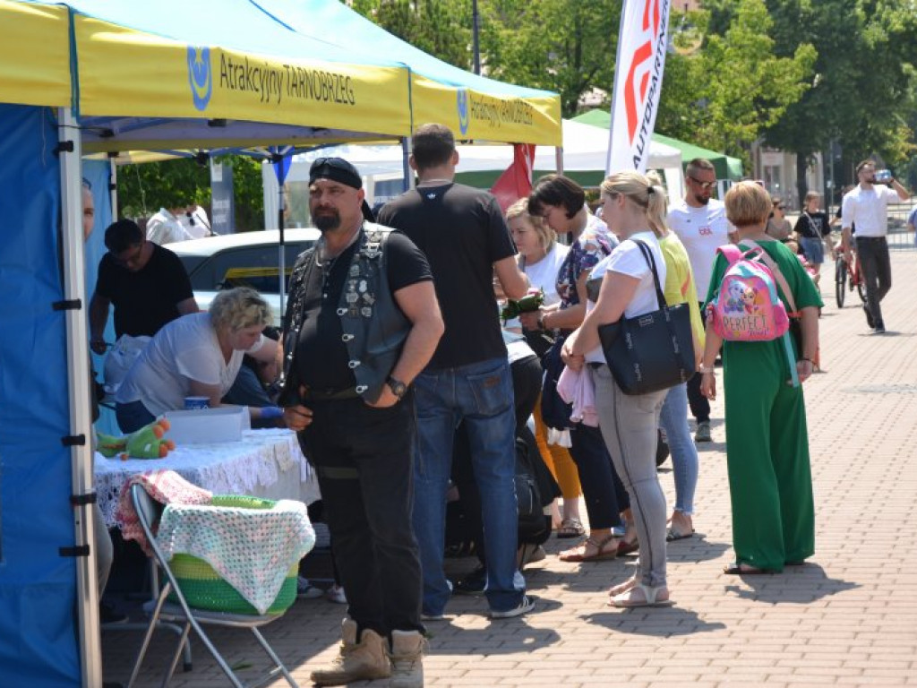 Charytatywny piknik w centrum Tarnobrzega [zdjęcia]