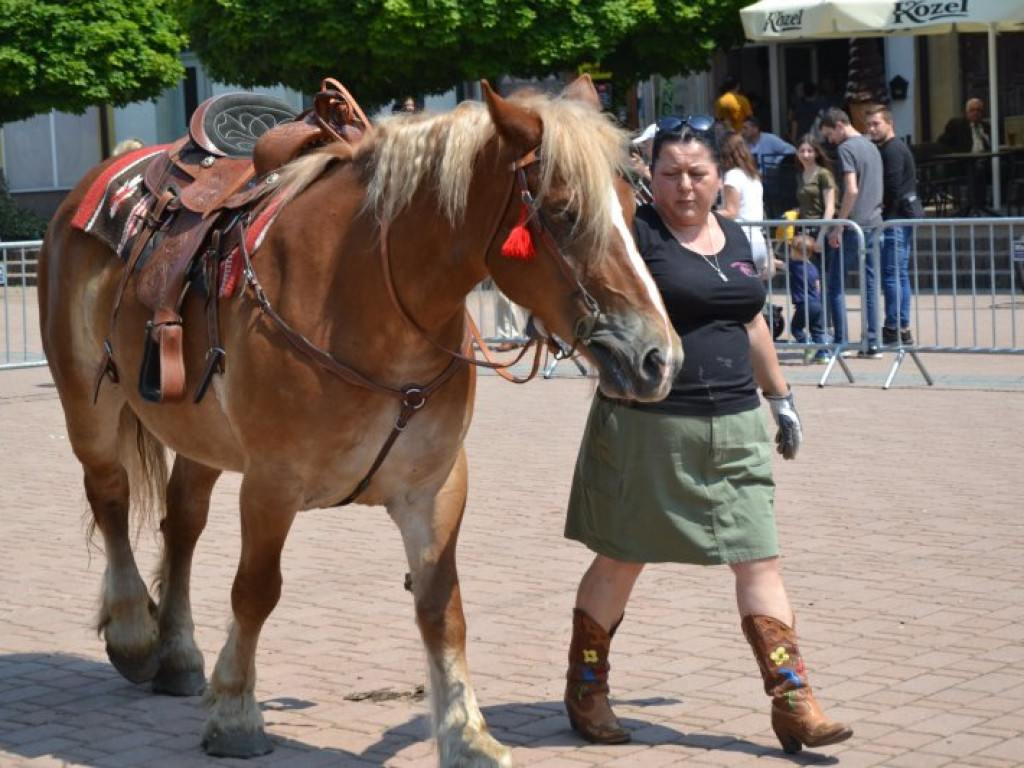 Charytatywny piknik w centrum Tarnobrzega [zdjęcia]