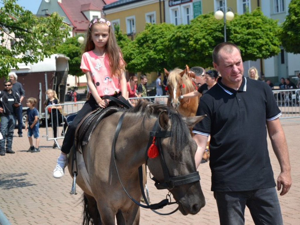 Charytatywny piknik w centrum Tarnobrzega [zdjęcia]