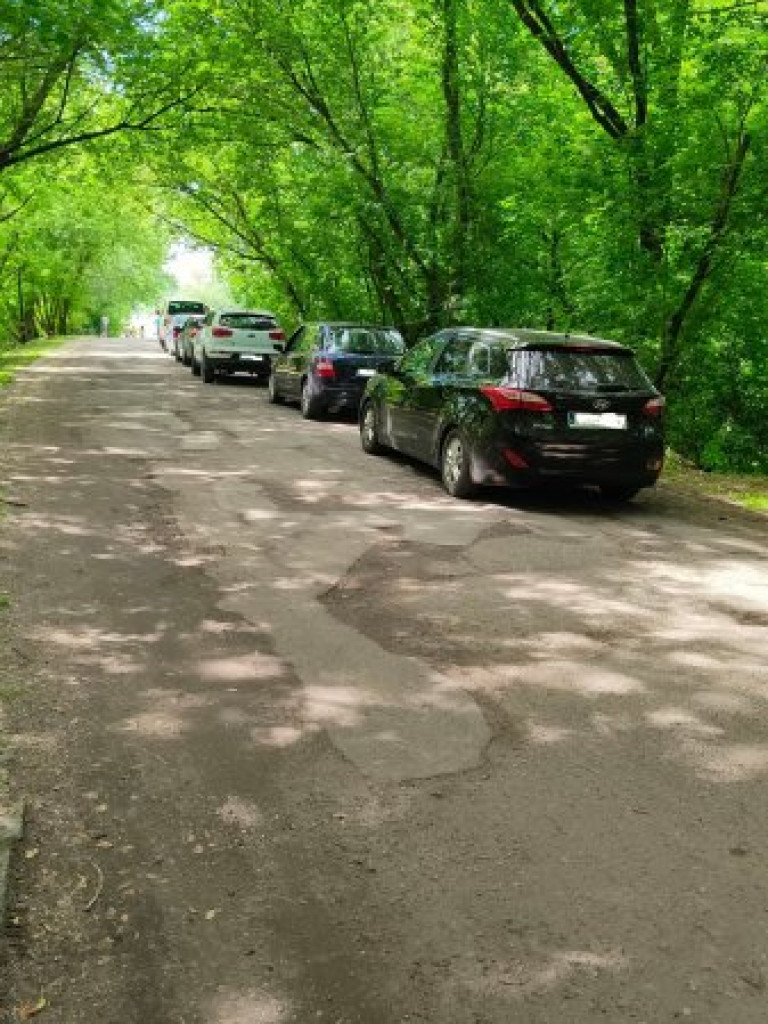 Przez wypadek koło mostu zakorkował się prom w Tarnobrzegu [zdjęcia]