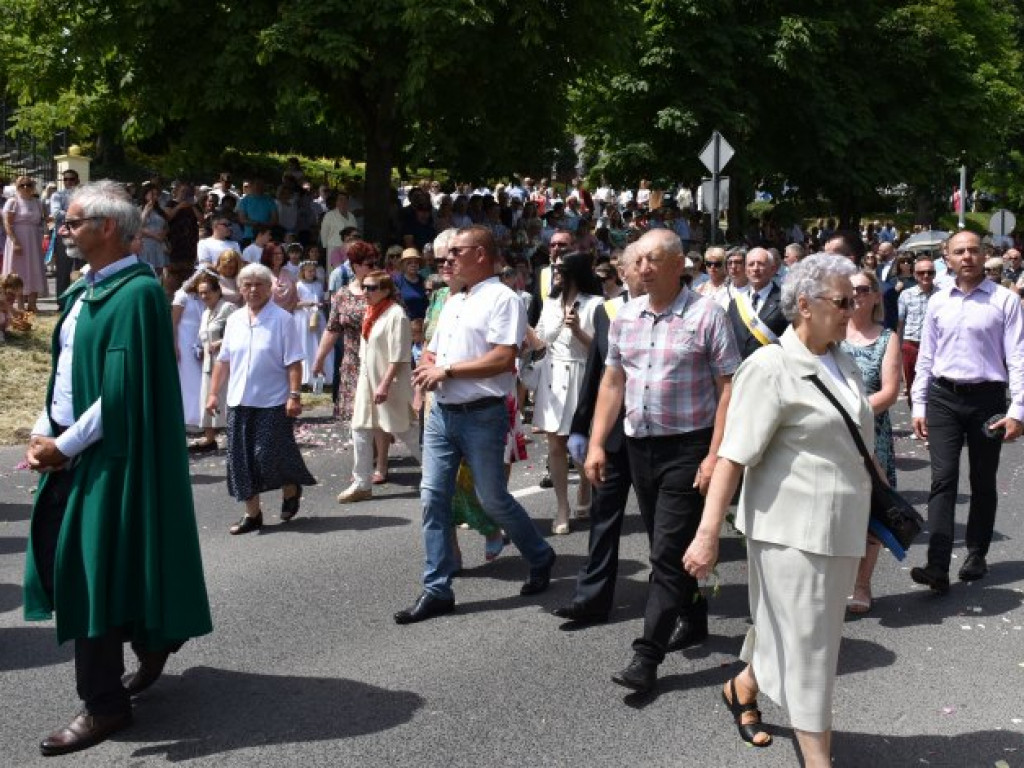 Tłumy sandomierzan na procesji Bożego Ciała [zdjęcia]
