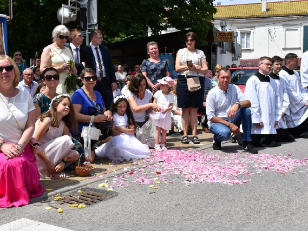 Tłumy sandomierzan na procesji Bożego Ciała [zdjęcia]