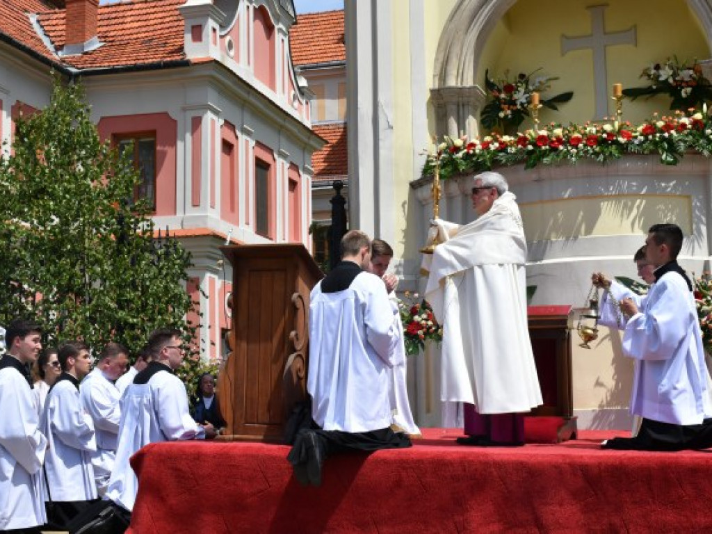 Tłumy sandomierzan na procesji Bożego Ciała [zdjęcia]