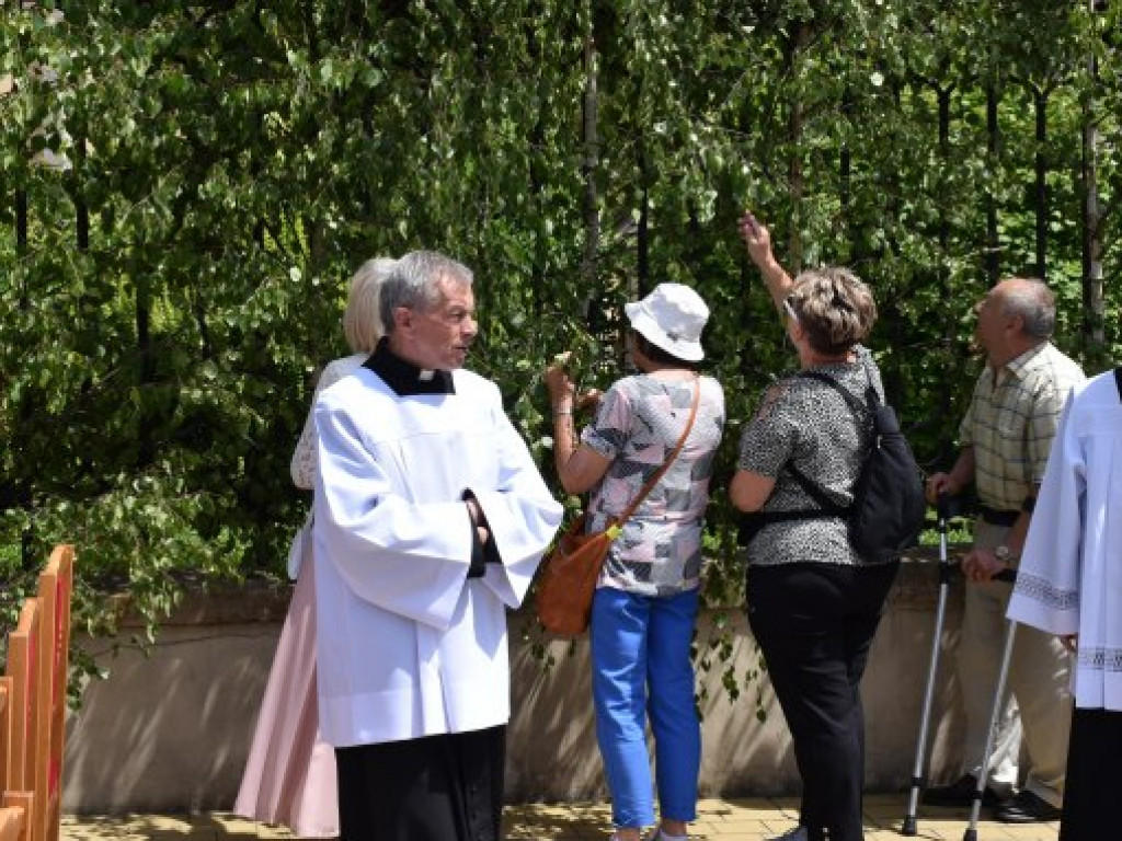 Tłumy sandomierzan na procesji Bożego Ciała [zdjęcia]