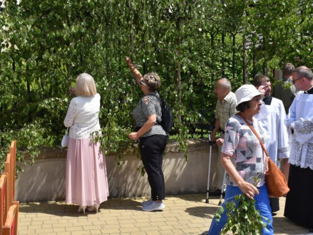 Tłumy sandomierzan na procesji Bożego Ciała [zdjęcia]