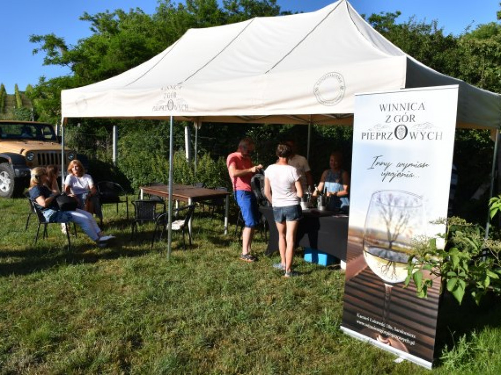 Piknik z atrakcjami wśród kwitnących winorośli [zdjęcia]