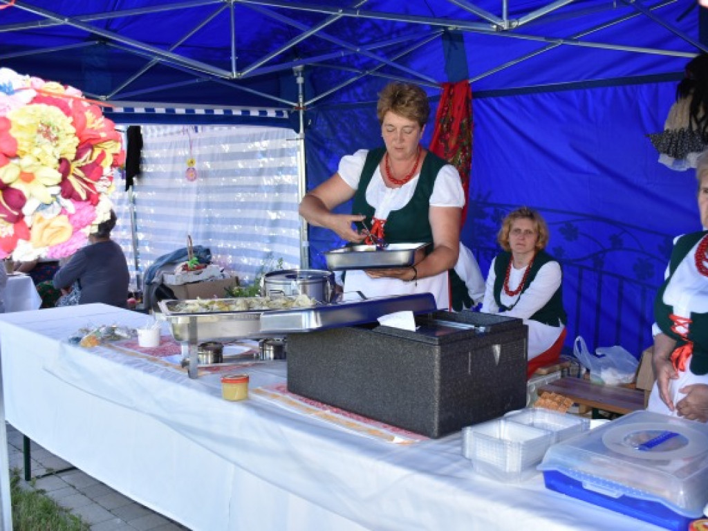 Piknik z atrakcjami wśród kwitnących winorośli [zdjęcia]