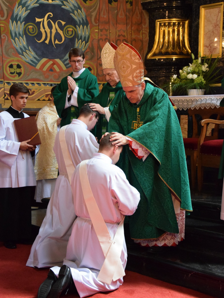 Nowi księża diecezji sandomierskiej [zdjęcia]