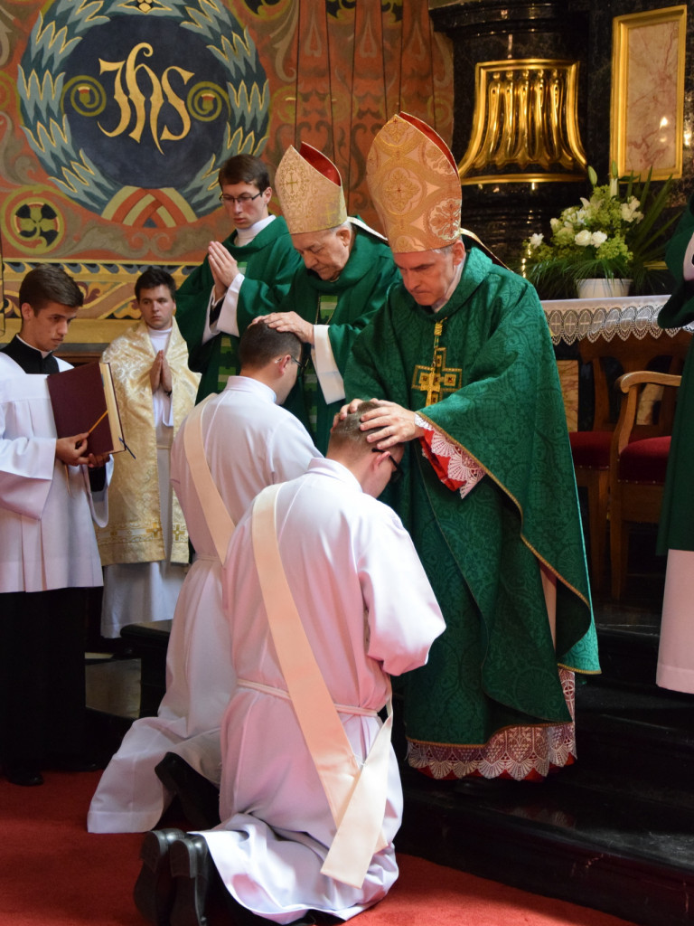 Nowi księża diecezji sandomierskiej [zdjęcia]