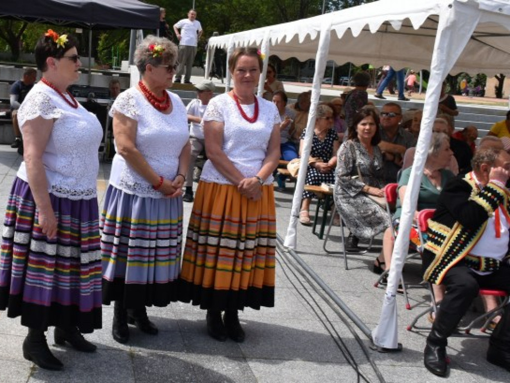 W Sandomierzu świętowali seniorzy [zdjęcia]