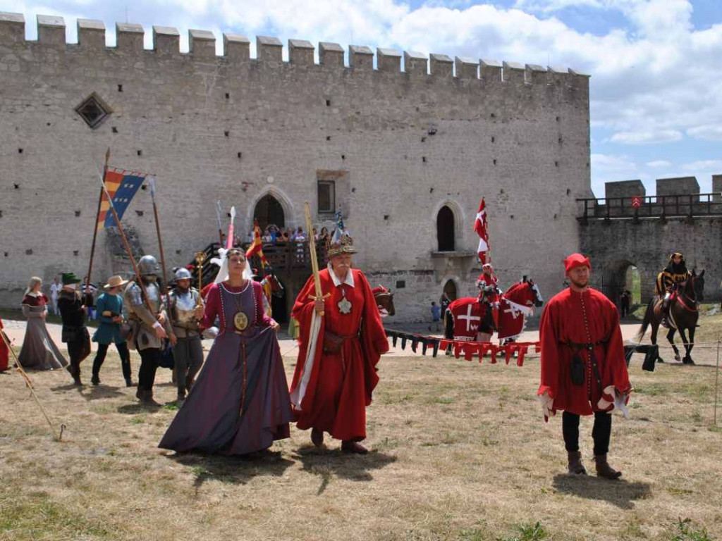 Wspaniałe historyczne widowisko w Szydłowie. Przyjechali rycerze z całej Polski [wideo][zdjęcia]