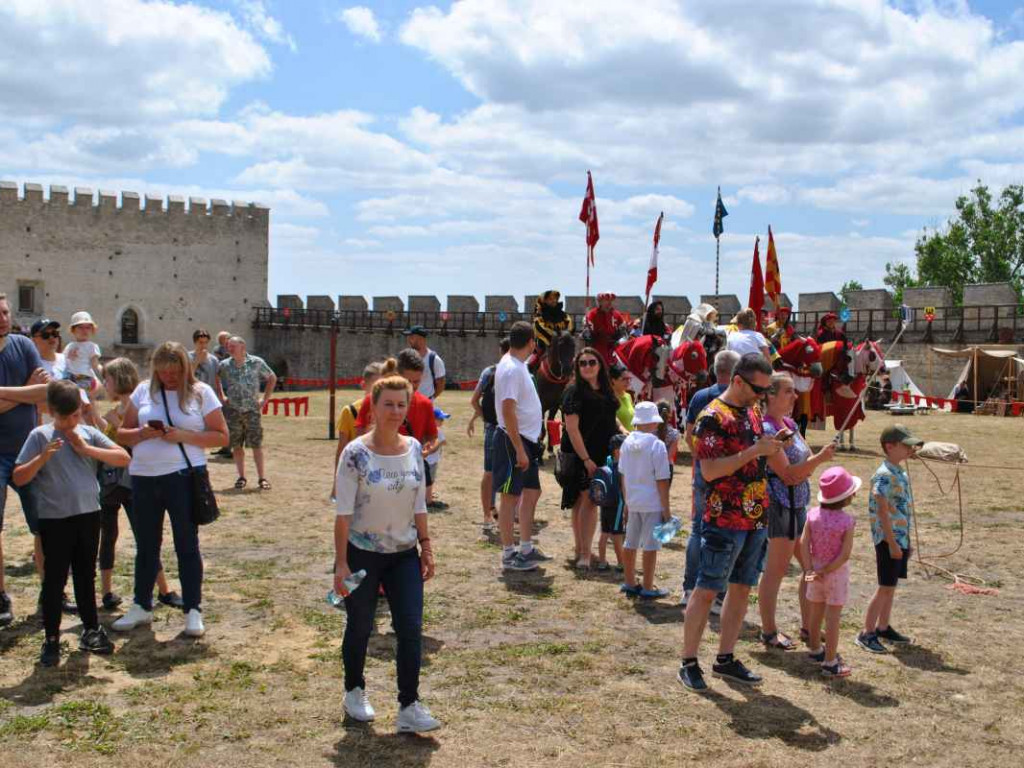 Wspaniałe historyczne widowisko w Szydłowie. Przyjechali rycerze z całej Polski [wideo][zdjęcia]