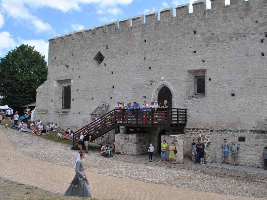 Wspaniałe historyczne widowisko w Szydłowie. Przyjechali rycerze z całej Polski [wideo][zdjęcia]