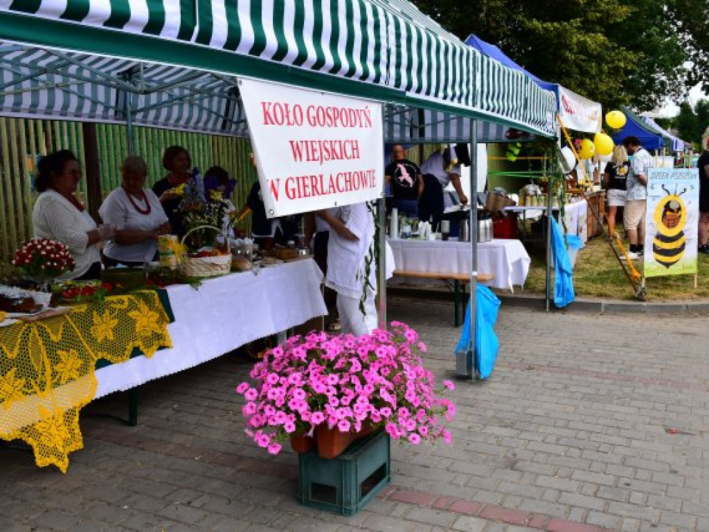 W Dwikozach trwa Wojewódzkie Święto Pomidora. To wyjątkowa edycja [zdjęcia]
