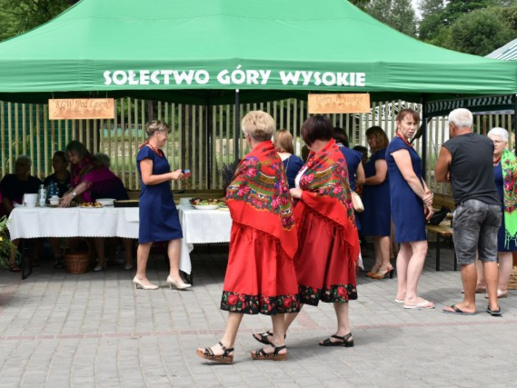 W Dwikozach trwa Wojewódzkie Święto Pomidora. To wyjątkowa edycja [zdjęcia]