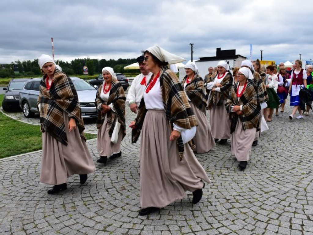W Sandomierzu świętują pszczelarze i miłośnicy miodu [zdjęcia]