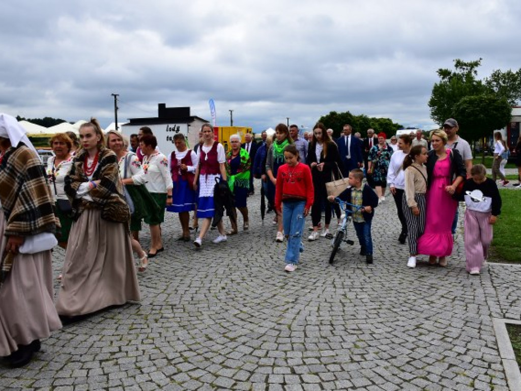 W Sandomierzu świętują pszczelarze i miłośnicy miodu [zdjęcia]