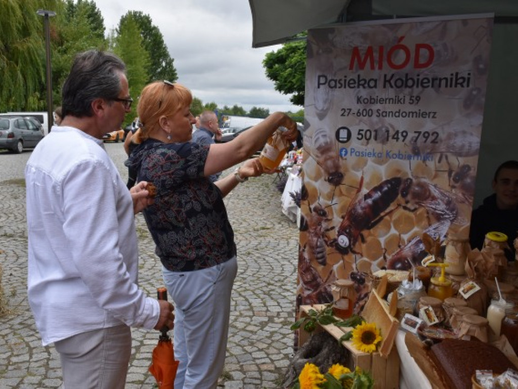 W Sandomierzu świętują pszczelarze i miłośnicy miodu [zdjęcia]