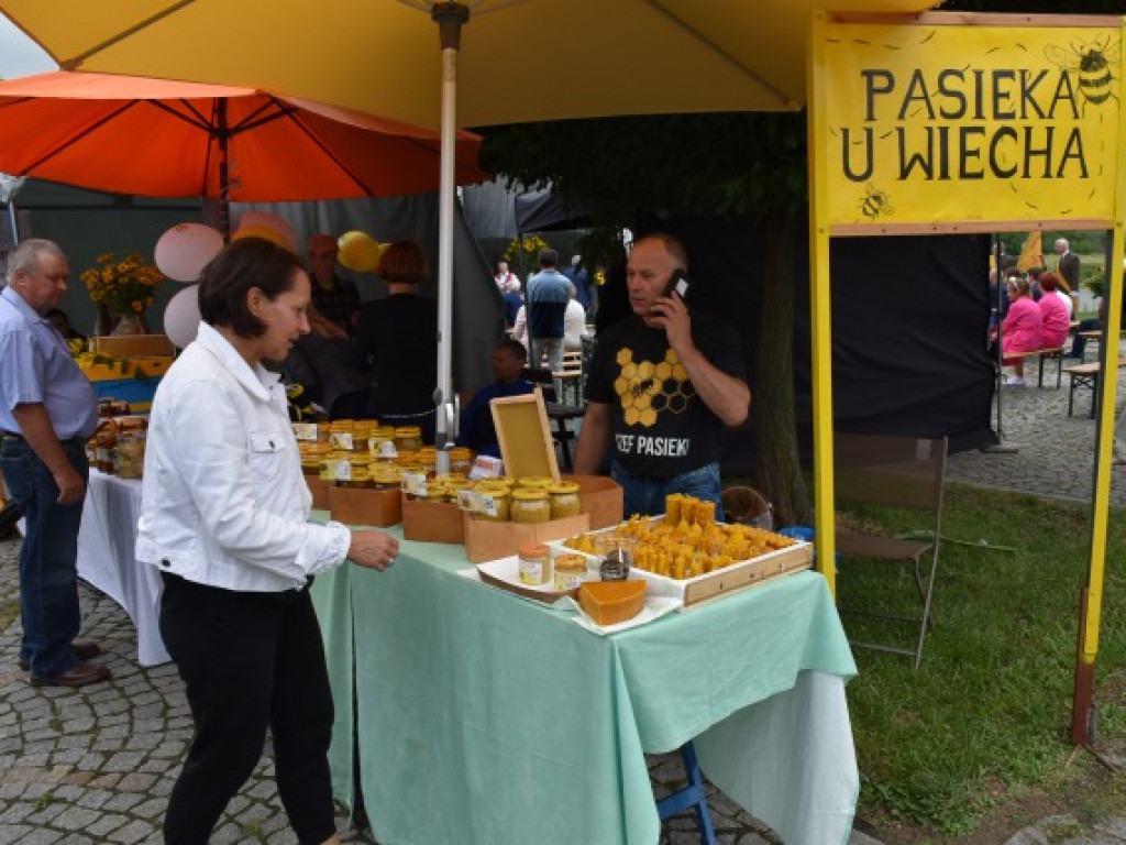 W Sandomierzu świętują pszczelarze i miłośnicy miodu [zdjęcia]