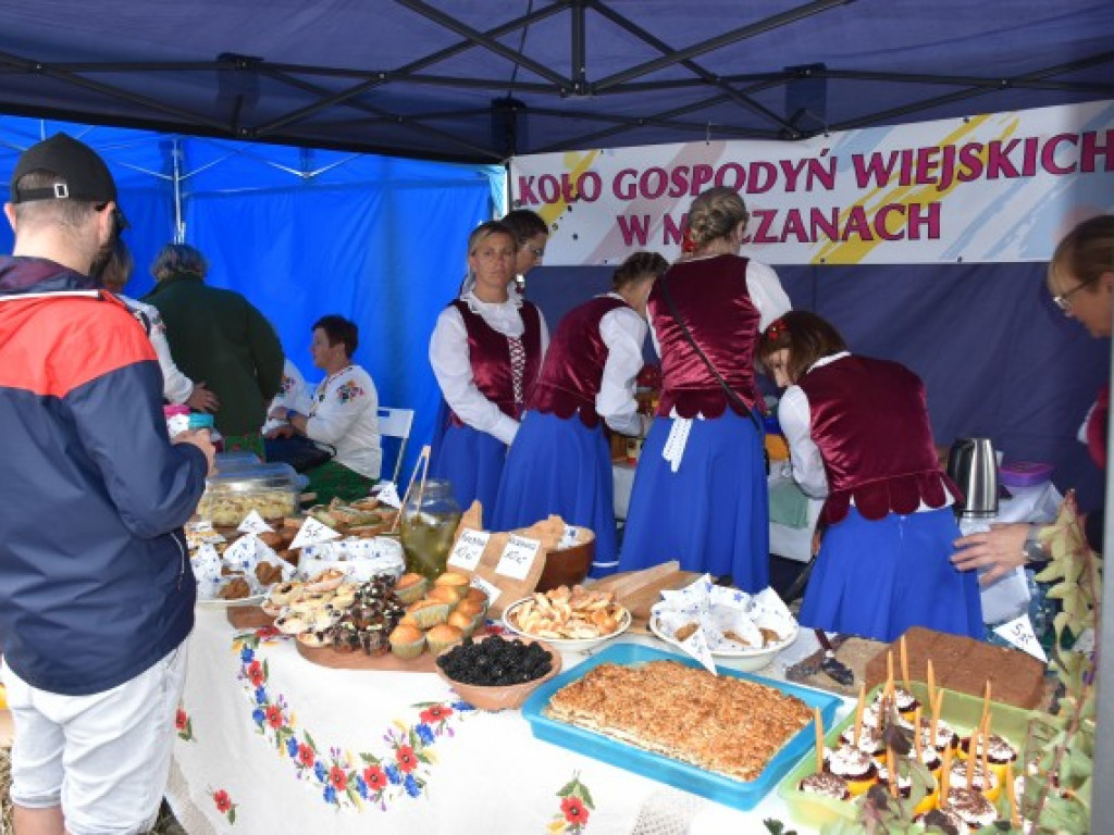 W Sandomierzu świętują pszczelarze i miłośnicy miodu [zdjęcia]