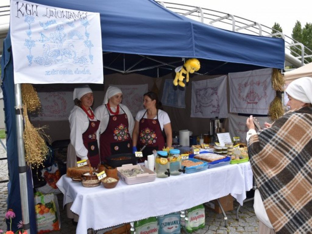 W Sandomierzu świętują pszczelarze i miłośnicy miodu [zdjęcia]