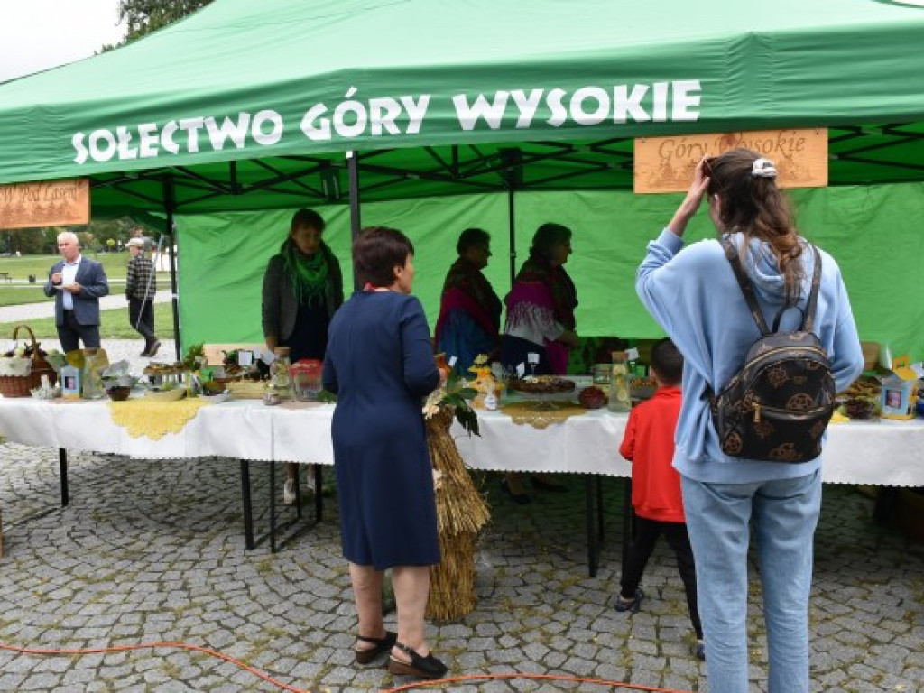 W Sandomierzu świętują pszczelarze i miłośnicy miodu [zdjęcia]