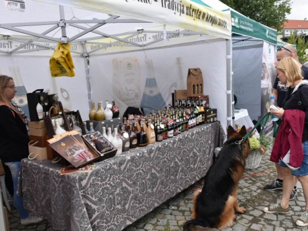 W Sandomierzu świętują pszczelarze i miłośnicy miodu [zdjęcia]