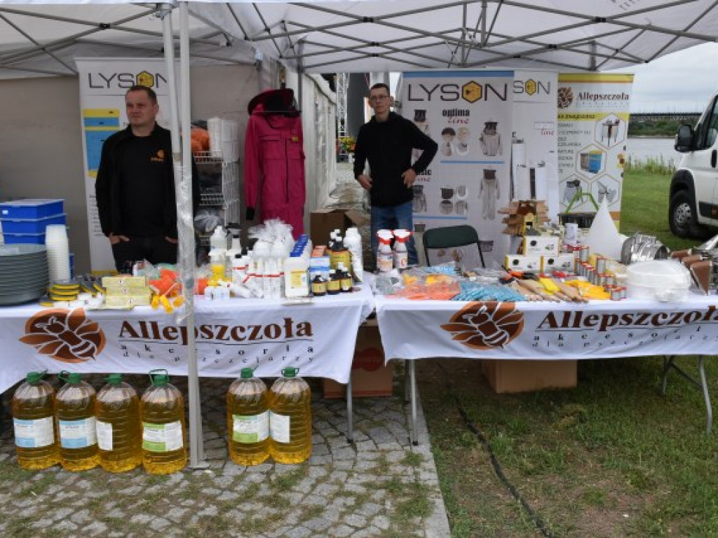 W Sandomierzu świętują pszczelarze i miłośnicy miodu [zdjęcia]