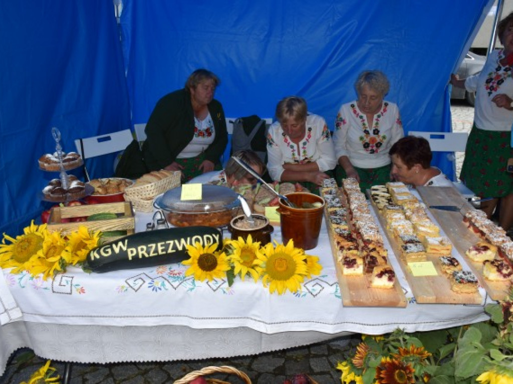 W Sandomierzu świętują pszczelarze i miłośnicy miodu [zdjęcia]