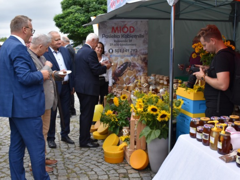W Sandomierzu świętują pszczelarze i miłośnicy miodu [zdjęcia]