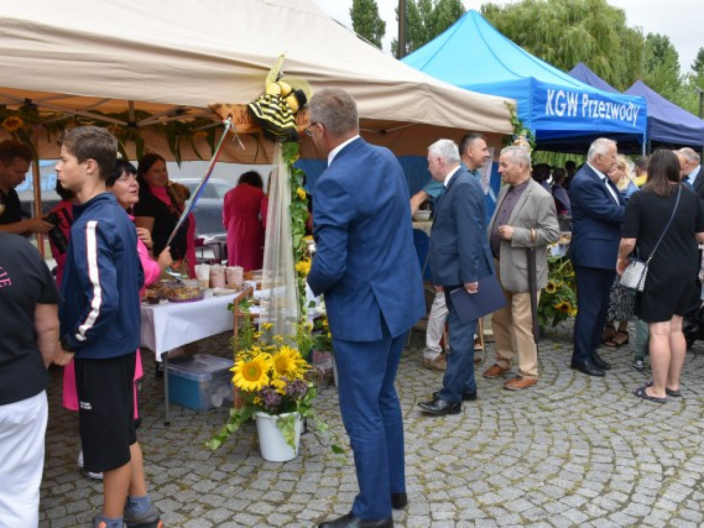 W Sandomierzu świętują pszczelarze i miłośnicy miodu [zdjęcia]