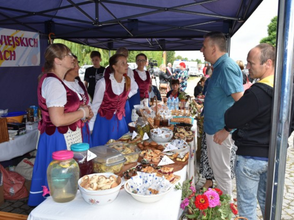 W Sandomierzu świętują pszczelarze i miłośnicy miodu [zdjęcia]