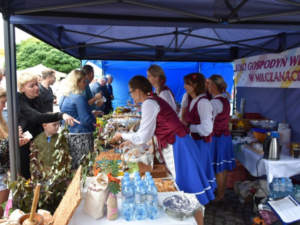 W Sandomierzu świętują pszczelarze i miłośnicy miodu [zdjęcia]