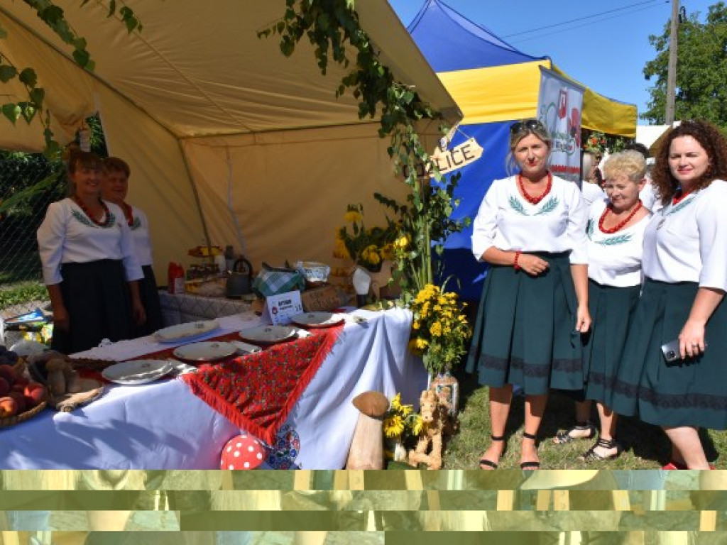 Niżański Festiwal Kultury Łowieckiej [zdjęcia]