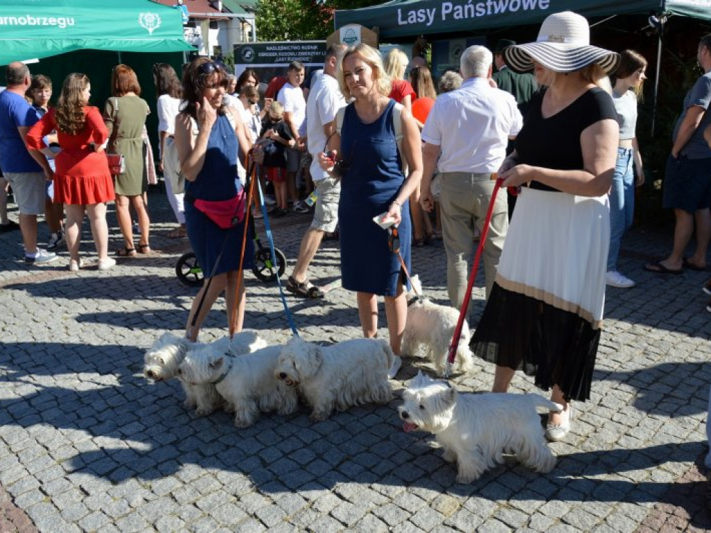 Niżański Festiwal Kultury Łowieckiej [zdjęcia]