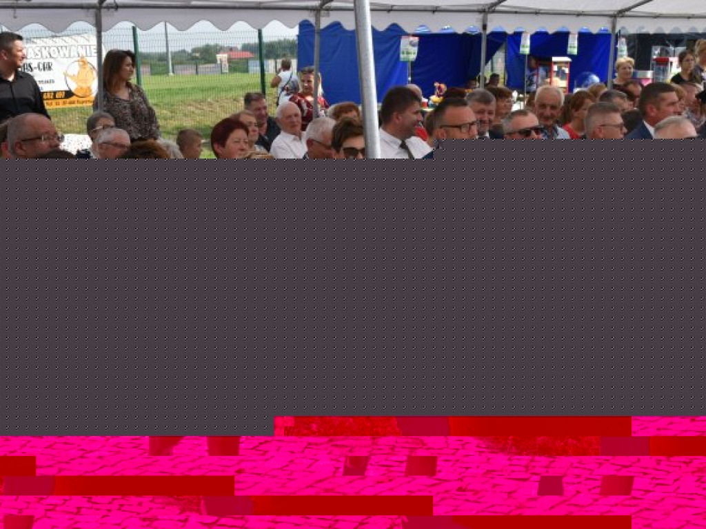 Pobiegli w Parku Dzikowskim, by uczcić patriotyczną rocznicę [zdjęcia]