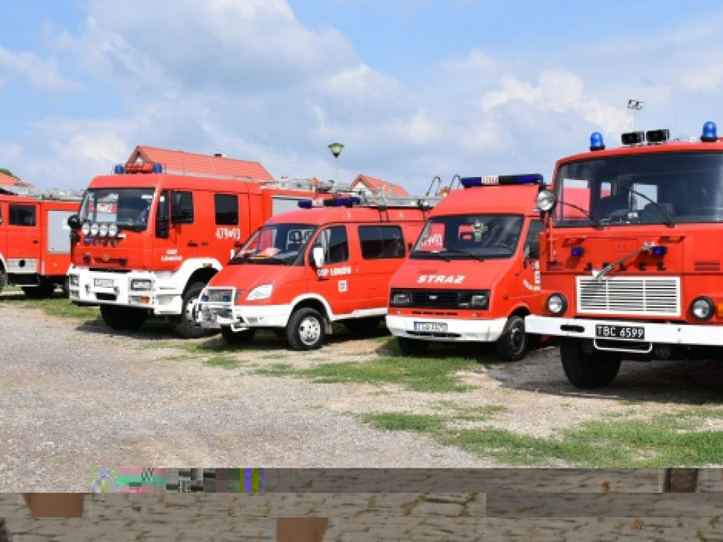 Pobiegli w Parku Dzikowskim, by uczcić patriotyczną rocznicę [zdjęcia]