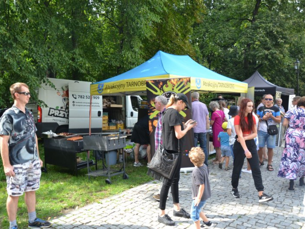 Dożynkowy festyn przed Zamkiem Tarnowskich w Tarnobrzegu [zdjęcia]